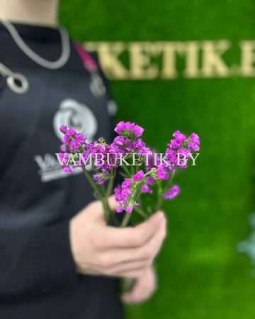 Статица