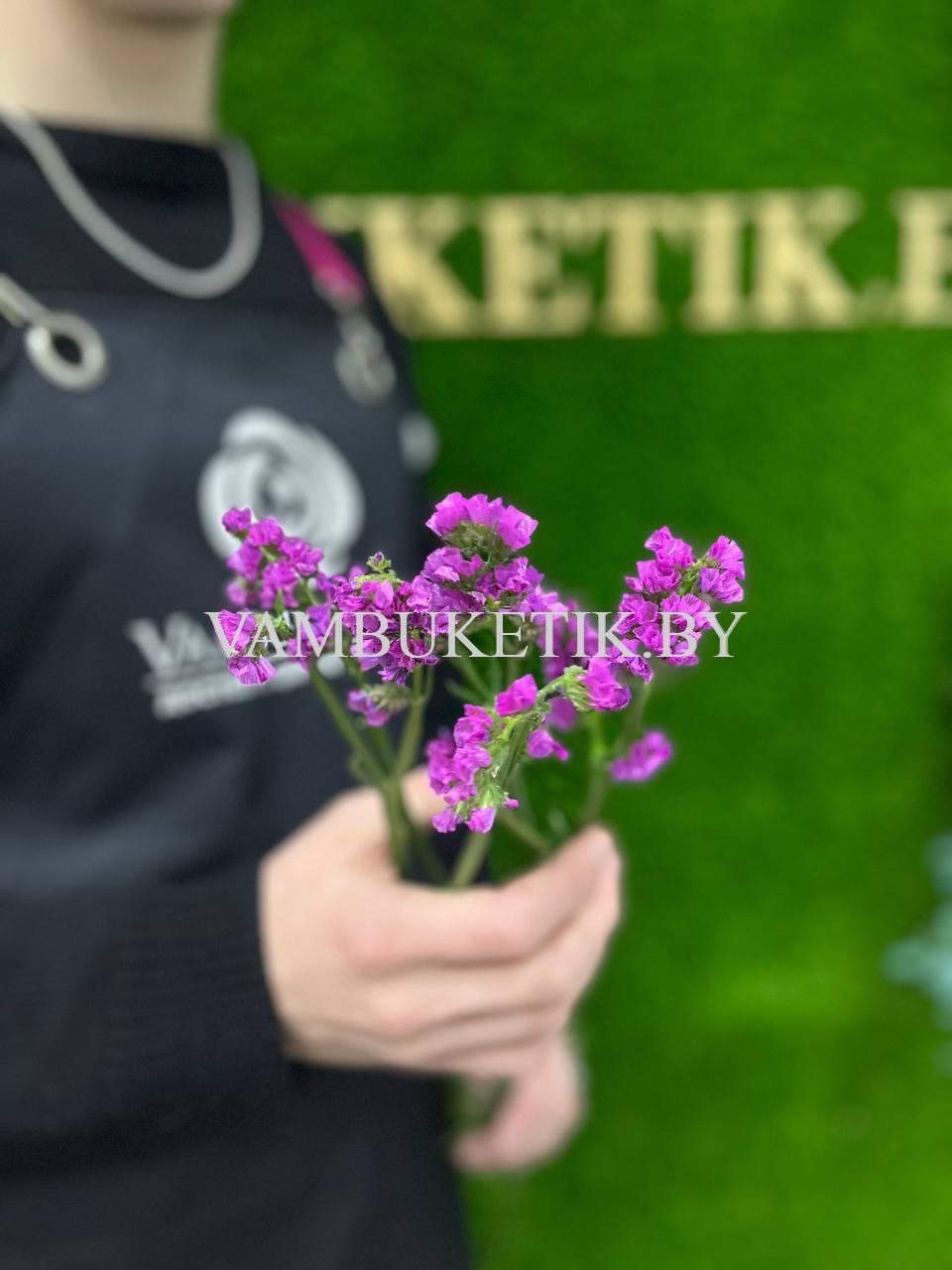 Статица