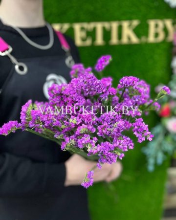 11 Веток Статицы