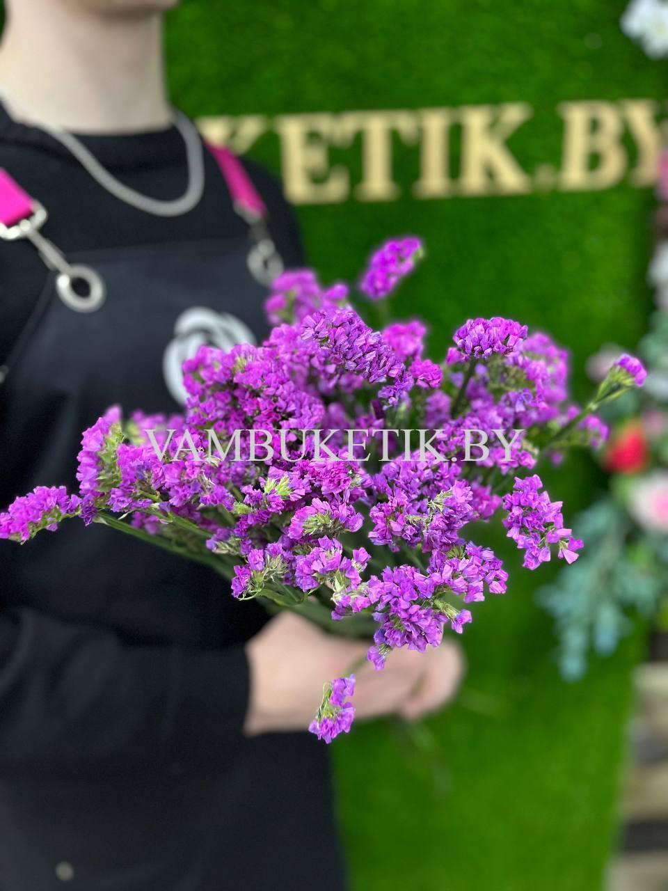 11 Веток Статицы