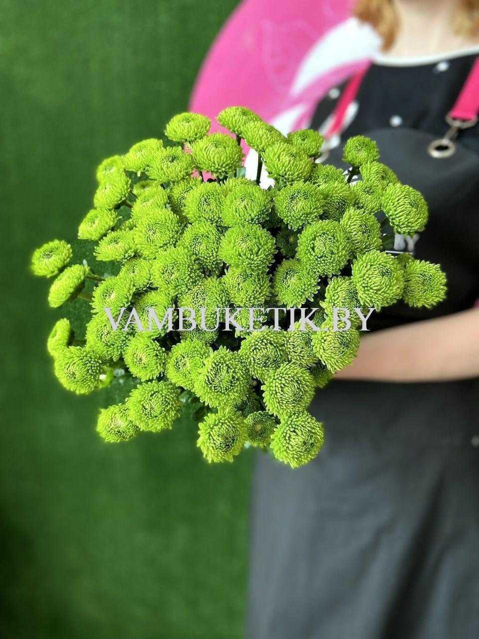 Хризантема Code Green 11 веток