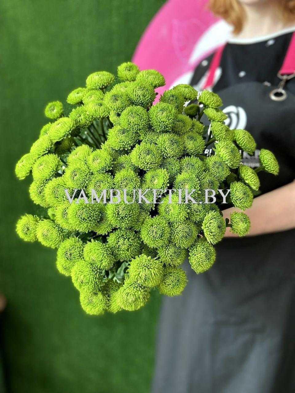 Хризантема Code Green 15 веток