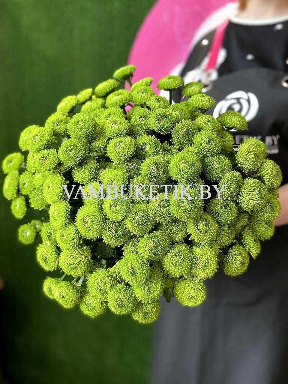 Хризантема Code Green 19 веток