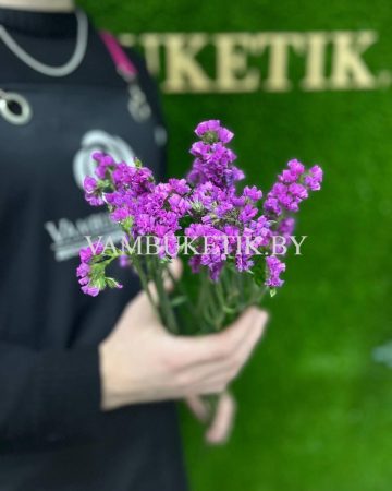 3 Ветки Статицы