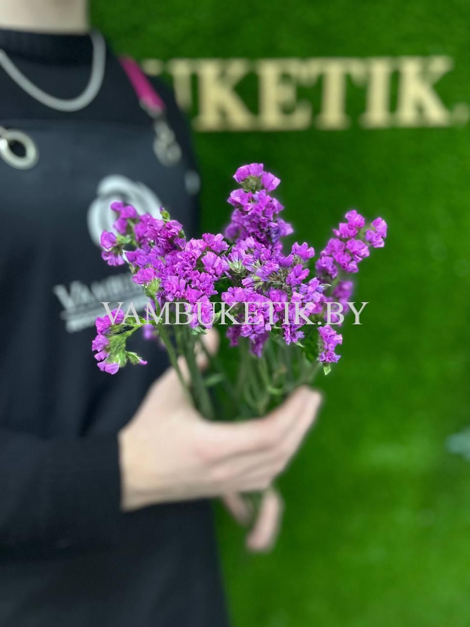 3 Ветки Статицы