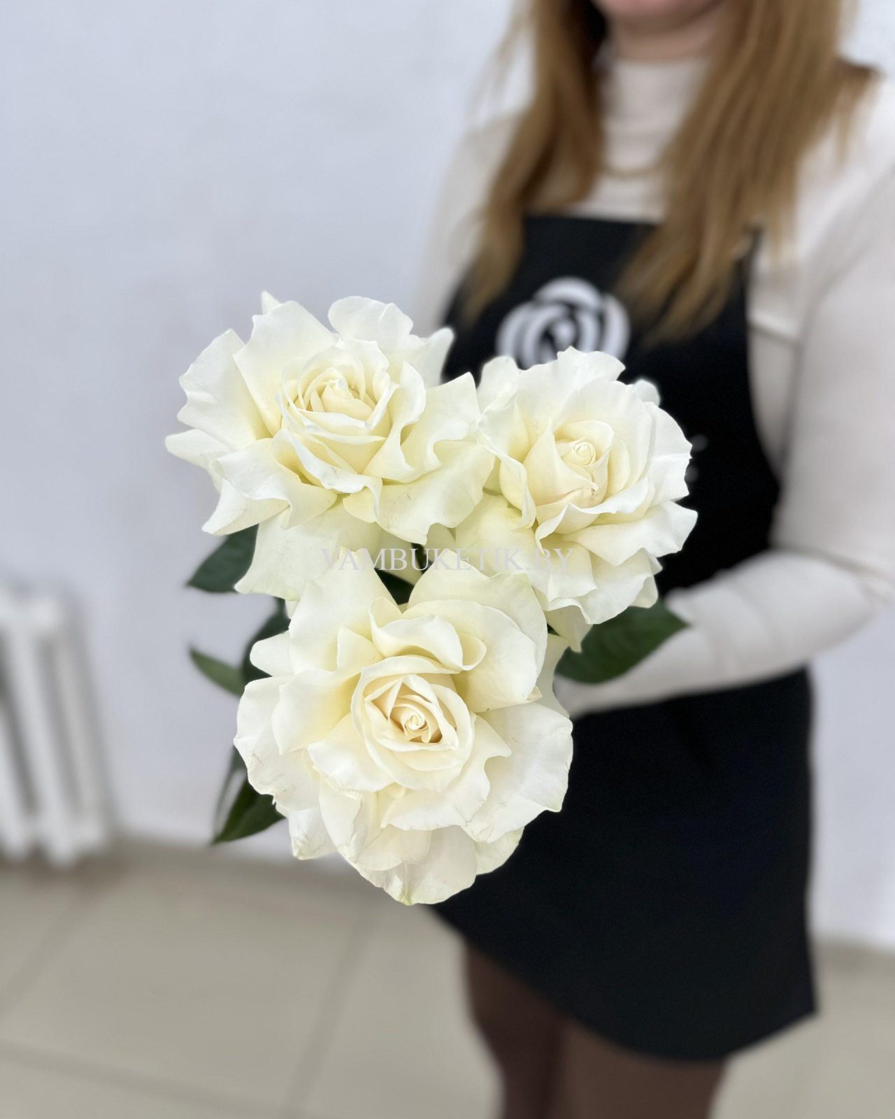 3 белые французские розы