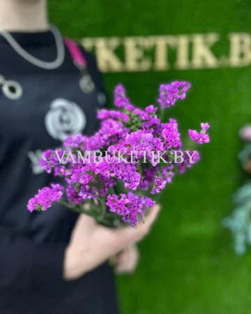 5 Веток Статицы