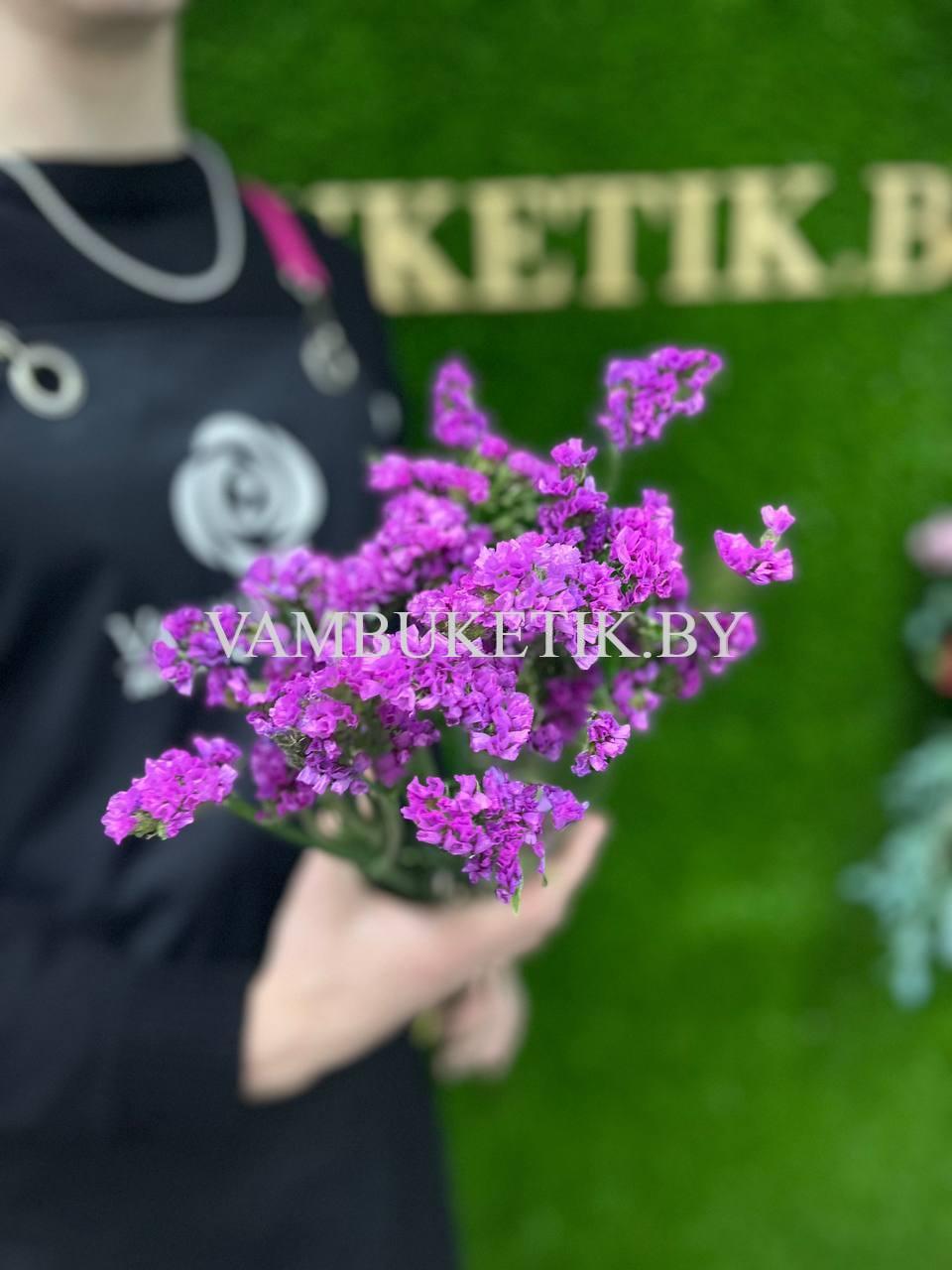 5 Веток Статицы
