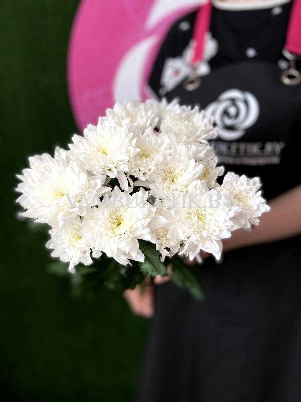 Хризантема Зембла 5 веток