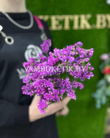 7 Веток Статицы