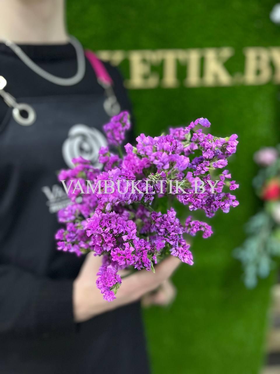 7 Веток Статицы