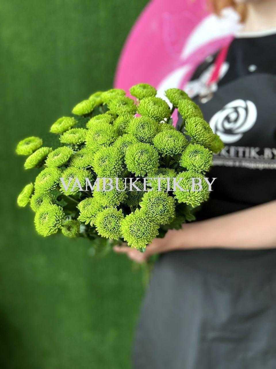 Хризантема Code Green 7 веток