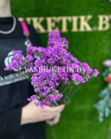 9 Веток Статицы
