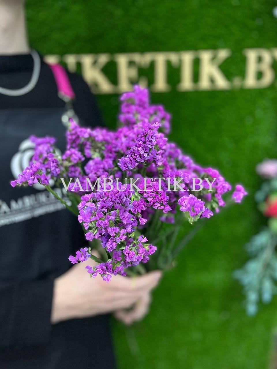 9 Веток Статицы