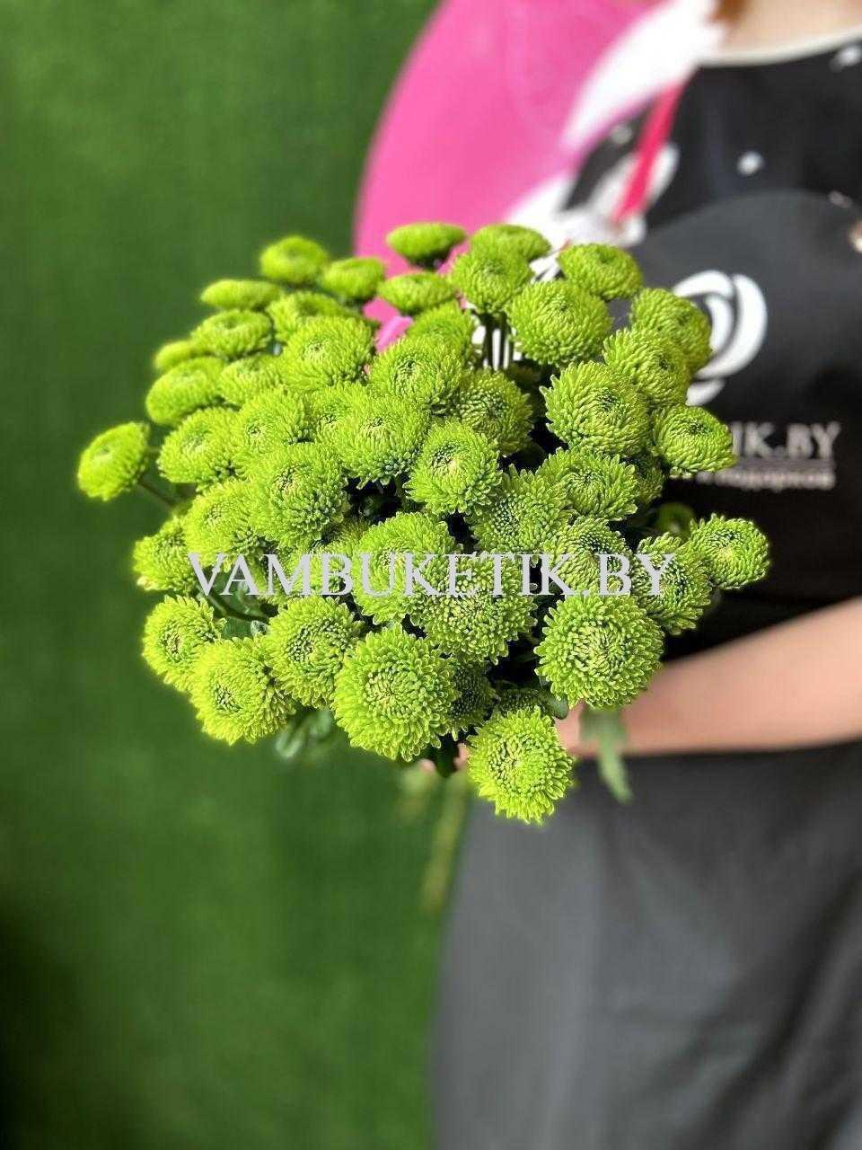 Хризантема Code Green 9 веток